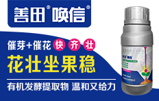  Sichuan Shantian Agrochemical Technology Co., Ltd