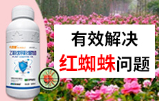 Jiangsu Keli Crop Research Co., Ltd