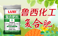  Luxi Chemical Group Co., Ltd