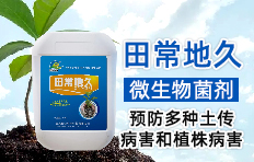  Qingdao Hexie Biotechnology Co., Ltd