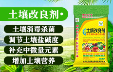  Jining Hongyuan Biotechnology Co., Ltd