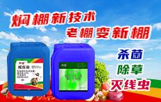  Shandong Woyijia Biotechnology Co., Ltd