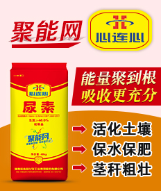  Henan Xinlianxin Chemical Industry Group Co., Ltd